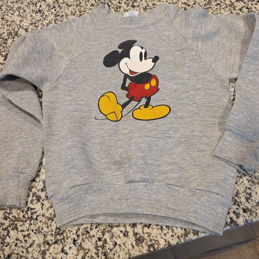 Disney Gray Sweatshirt with Character Design